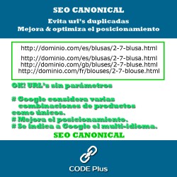 SEO Canonicas + Hre flang