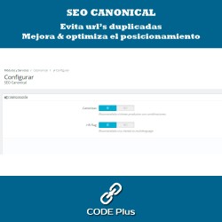 SEO Canonicas + Hre flang